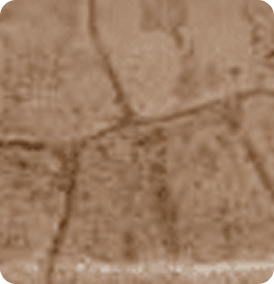 random-rock